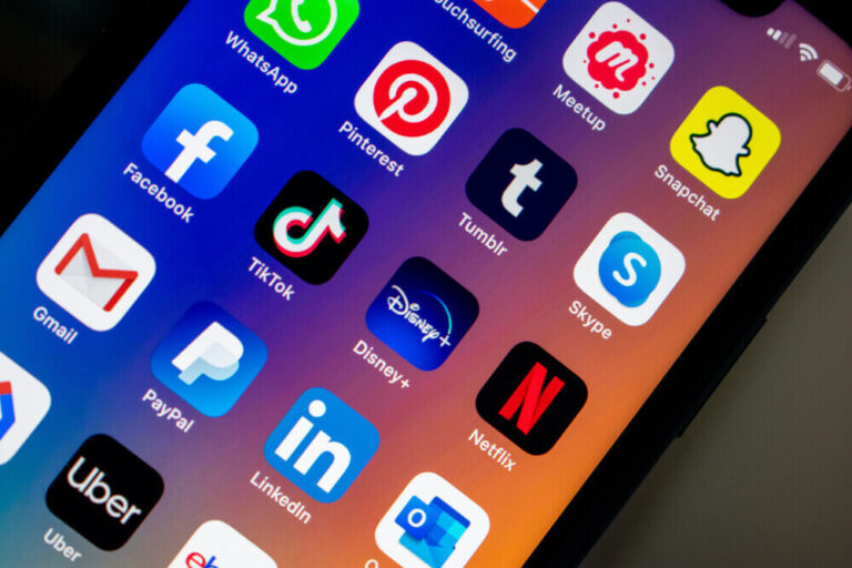 gestionaire de réseaux sociaux