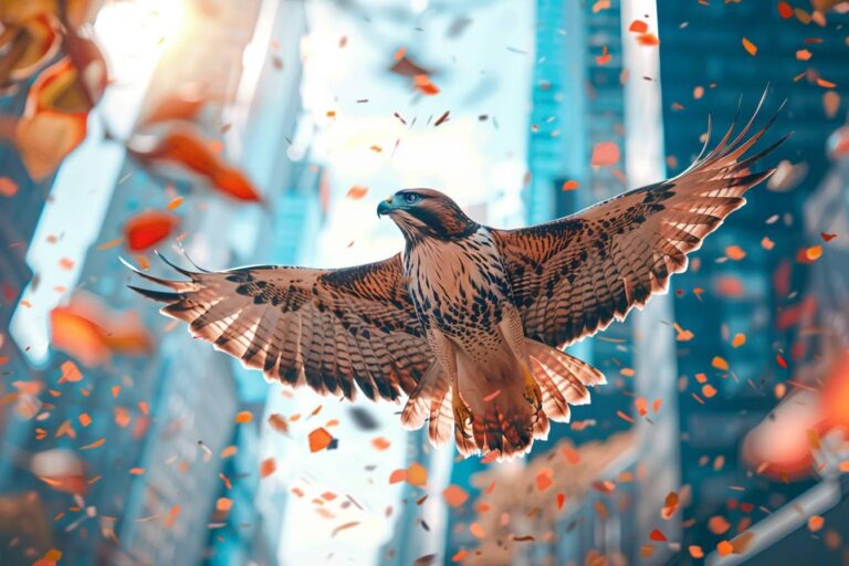 Hawk thua : explication complète du phénomène et son impact sur les réseaux sociaux