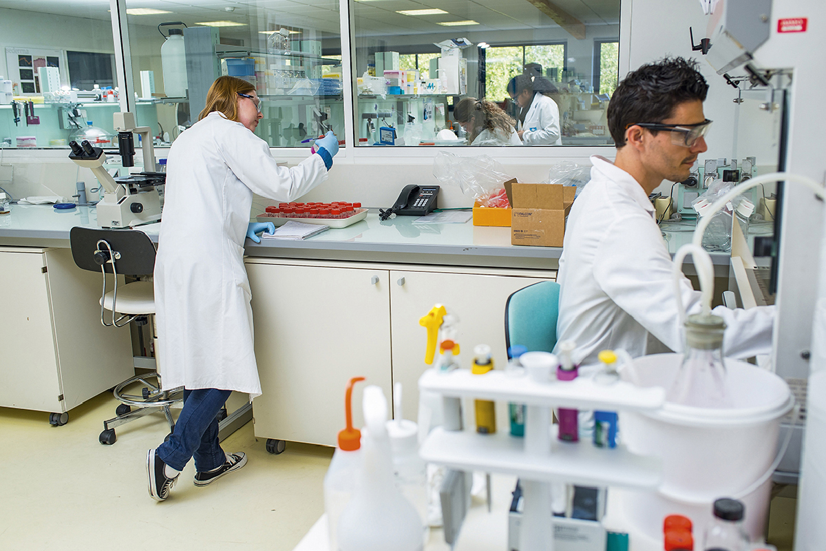 Biologiste marine en laboratoire