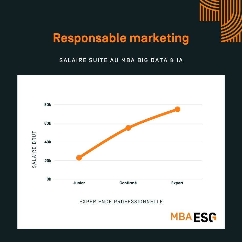 Responsable marketing luxe salaire 2024